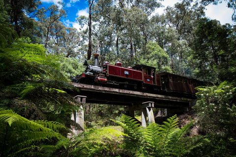 Puffing Billy Railway - Tourism Guide 0
