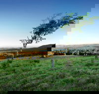 Ravensbourne National Park - Tourism Guide