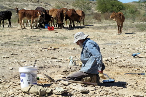 Richmond Fossil Hunting Sites - Tourism Guide 2