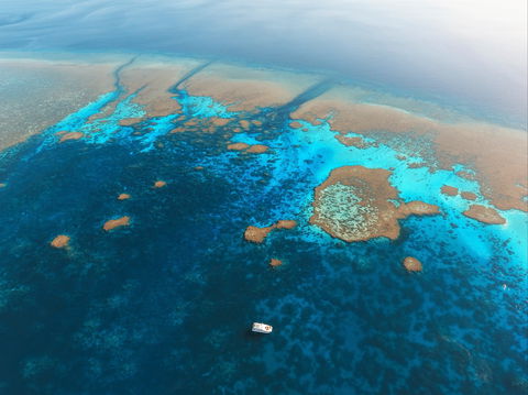 Rowley Shoals - Cruises Travel 1