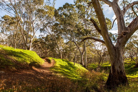 Shepherds Hill Recreation Park - Tourism Guide 1