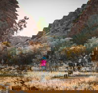 Simpsons Gap Bicycle Path - Tourism Guide