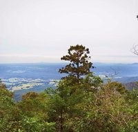 Slingsbys Trail and Syndicate Ridge Track - Tourism Guide