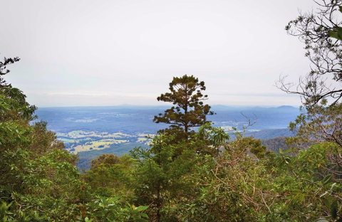 Slingsbys Trail And Syndicate Ridge Track - Tourism Guide 0