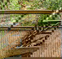 Somersby Falls walking track - Tourism Guide