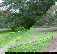 St Albans Reserve - Tourism Guide