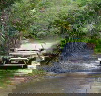 The Pioneer Valley and Eungella National Park - Cruises Travel