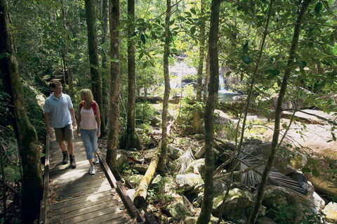 The Pioneer Valley And Eungella National Park - Tourism Guide 1