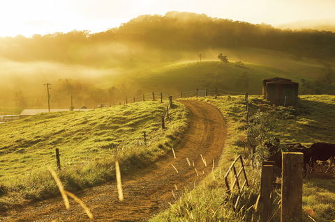The Pioneer Valley And Eungella National Park - Tourism Guide 2