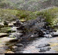 Thredbo River Track - Travel Agents