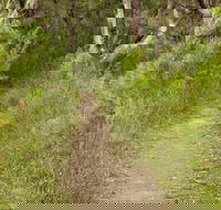 Three Views walking track - Tourism Guide