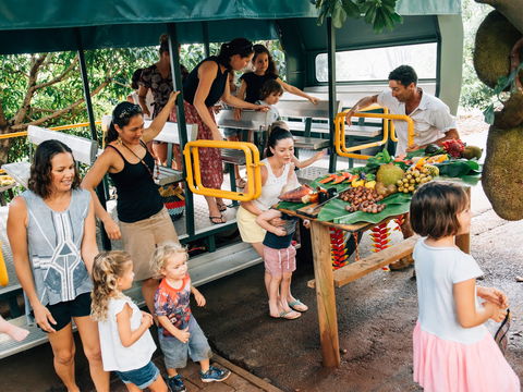 Tropical Fruit World - Tourism Guide 2