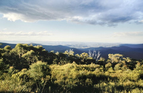 Vista Point Picnic Area - Tourism Guide 0