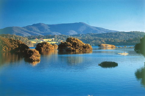 Wagonga Picnic Area - Tourism Guide 0