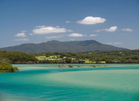 Wagonga Picnic Area - Tourism Guide 1
