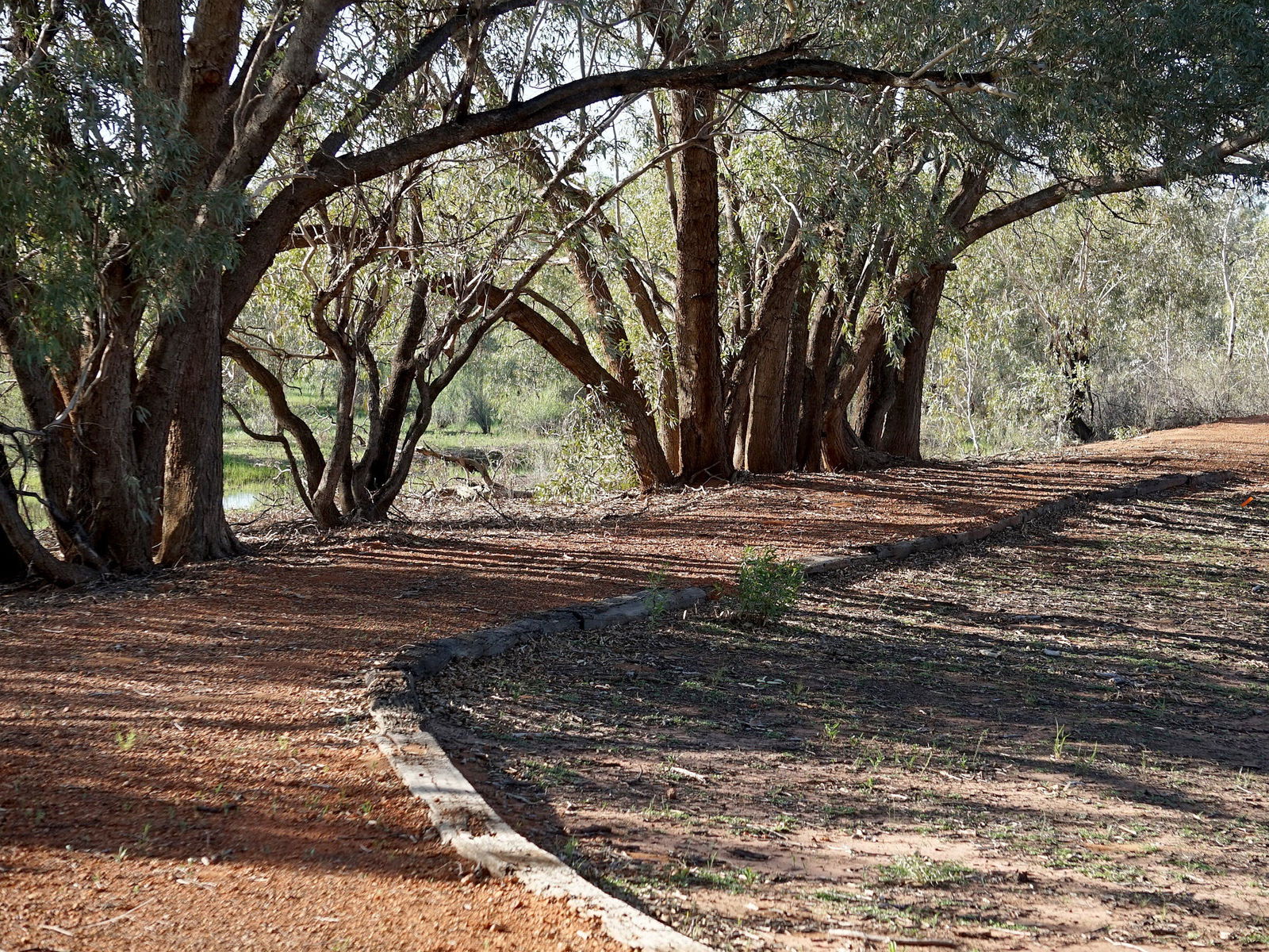 Louth NSW Tourism Guide