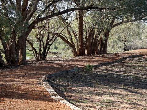 Warrego Floodplain Walking Track - Tourism Guide 0