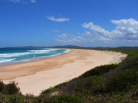 Wilsons Headland - Cruises Travel 0