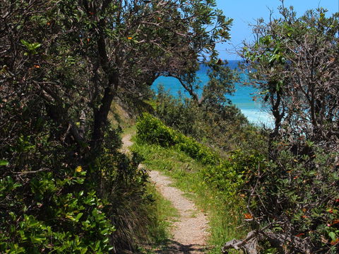 Wilsons Headland - Cruises Travel 1