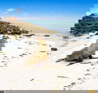 Abrolhos Islands - Tourism Guide