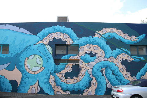 Adelaide Fringe Street Art Explosion - Tourism Guide 2