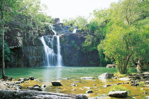 Airlie Beach To Cedar Creek Falls - Tourism Guide 0