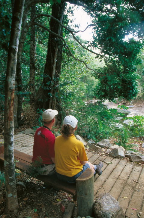 Airlie Beach To Cedar Creek Falls - Tourism Guide 2