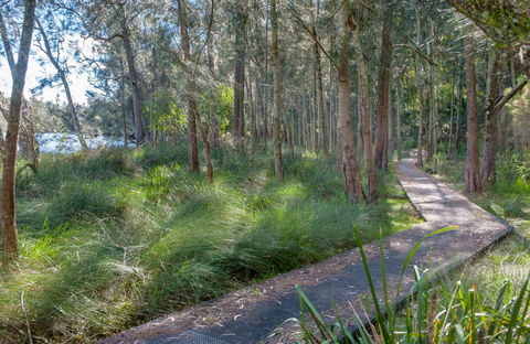 Anabranch Loop Track - Cruises Travel 0