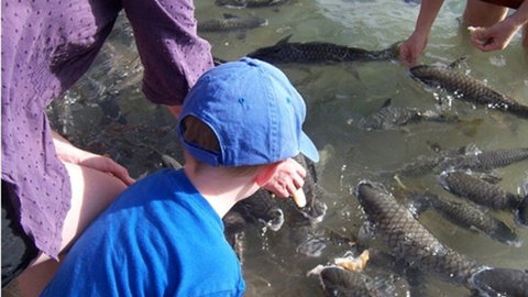 Aquascene - Travel Agents 0