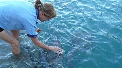 Aquascene - Travel Agents 2