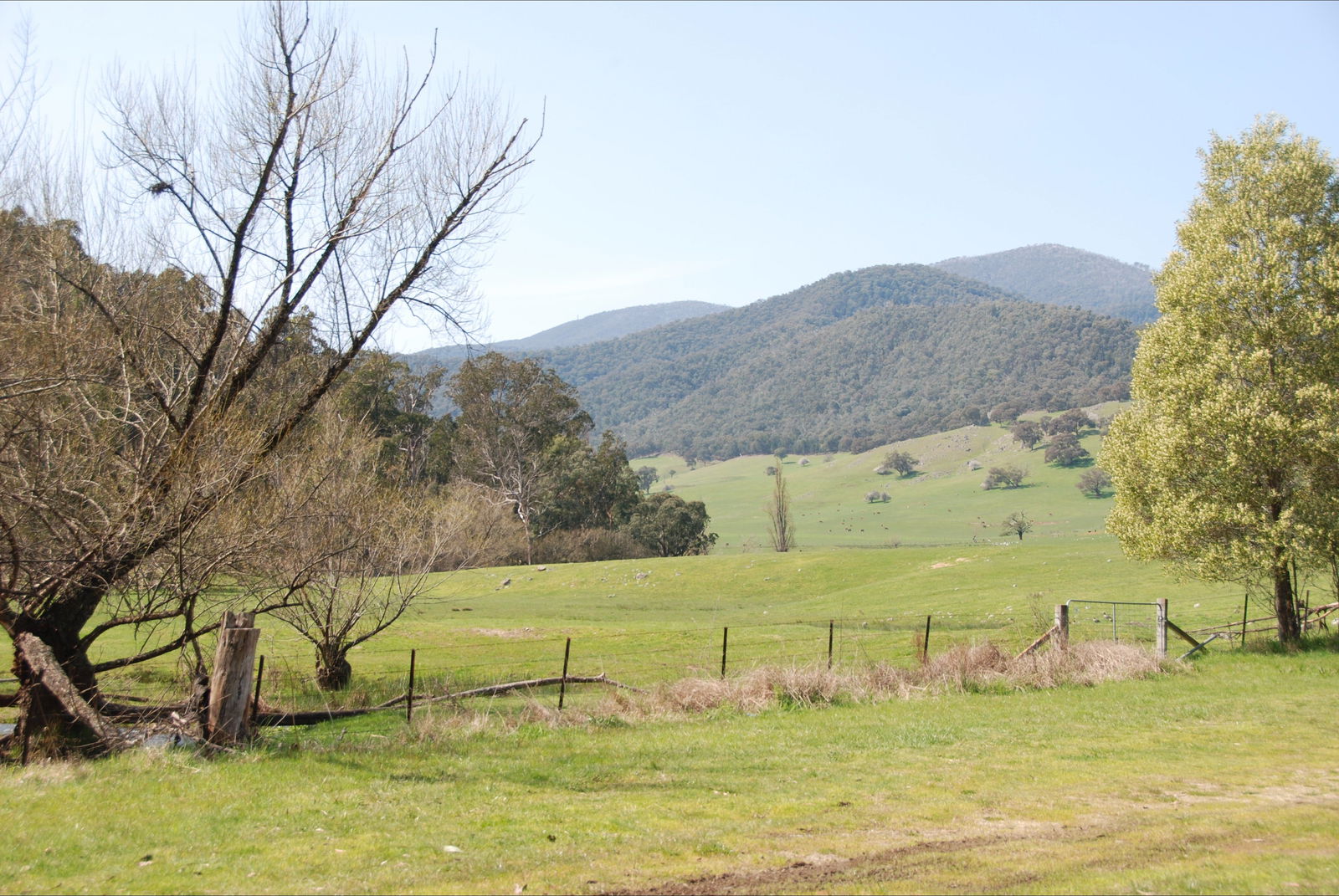 Dartmouth VIC Cruises Travel