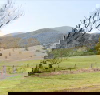 Banimboola Creek Rest Area - Cruises Travel