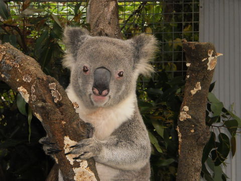 Birdland Animal Park - Tourism Guide 0