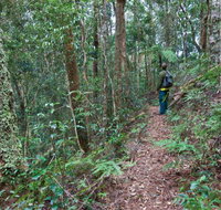Blackbutt walking track - Tourism Guide