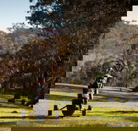 Blayney Golf Club - Travel Agents