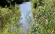 Blue Gum Hills Regional Park - thumb 1