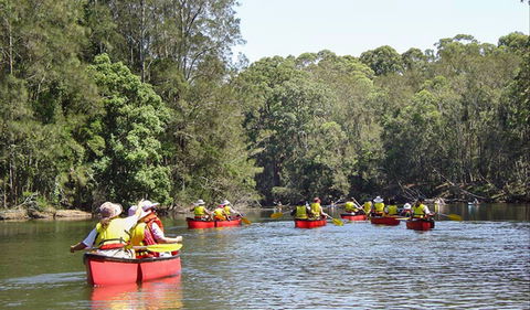 Bonville Creek - Tourism Guide 0