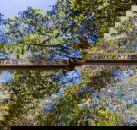 Bribie Island Bicentennial Trails - Tourism Guide