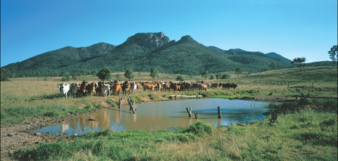Bundaberg- Biggenden- Mount Perry Circle - Tourism Guide 0
