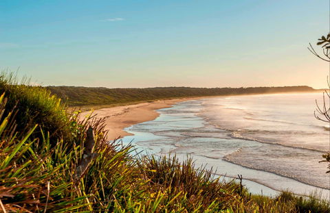 Burrawang Track - Conjola Beach To Buckleys Point - Tourism Guide 0