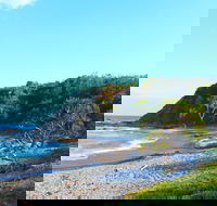 Clay Head - Travel Agents