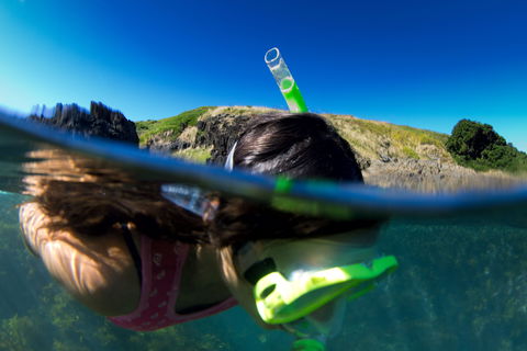 Coffs Harbour - Tourism Guide 2