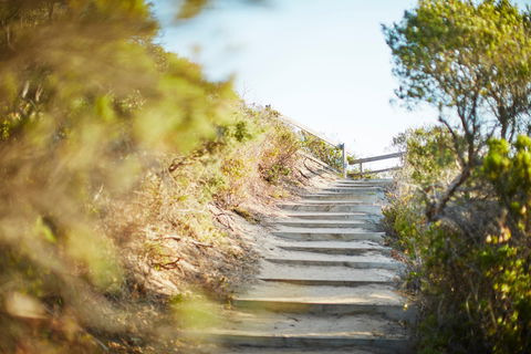 Coppins Walk Track (part Of The Coastal Walk) - Tourism Guide 0