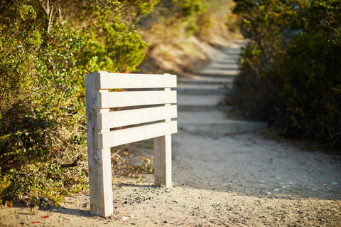 Coppins Walk Track (part Of The Coastal Walk) - Tourism Guide 1
