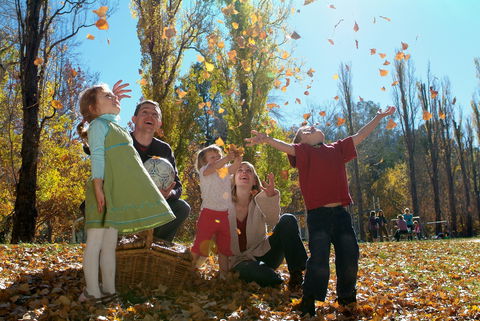 Cotter Avenue Recreation Area - Tourism Guide 1