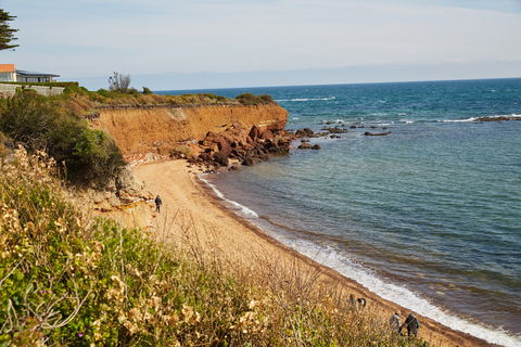 Davey's Bay - Tourism Guide 0