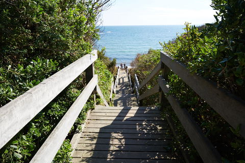 Davey's Bay - Tourism Guide 1