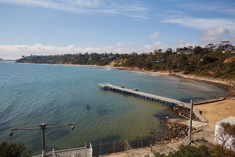 Davey's Bay - Tourism Guide 2