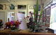 Dungog Arts Society - thumb 0