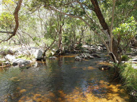 Emerald Creek, Dinden West Forest Reserve - Tourism Guide 1